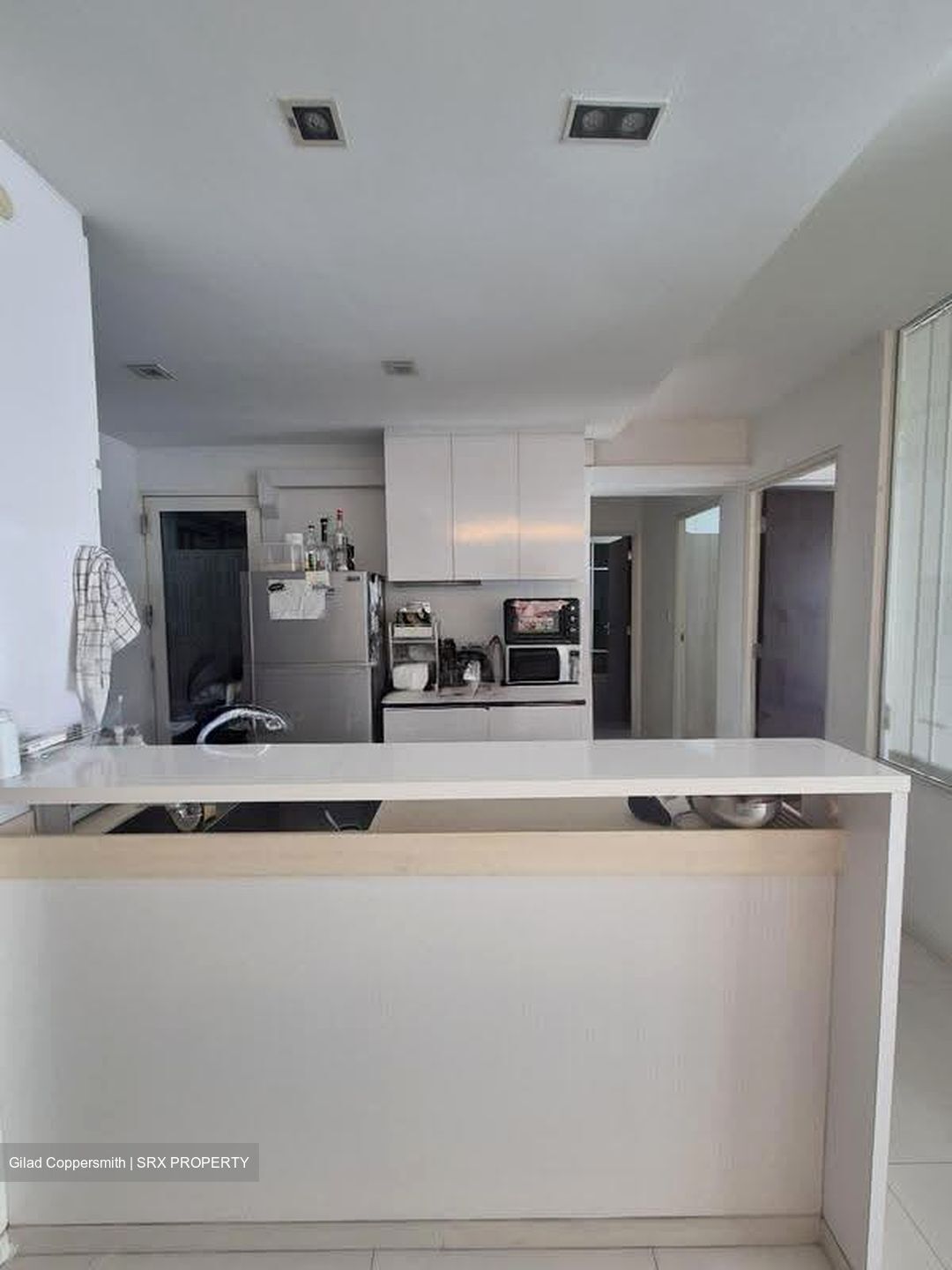 Blk 1G The Pinnacle@Duxton (Bukit Merah), HDB 4 Rooms #619496451